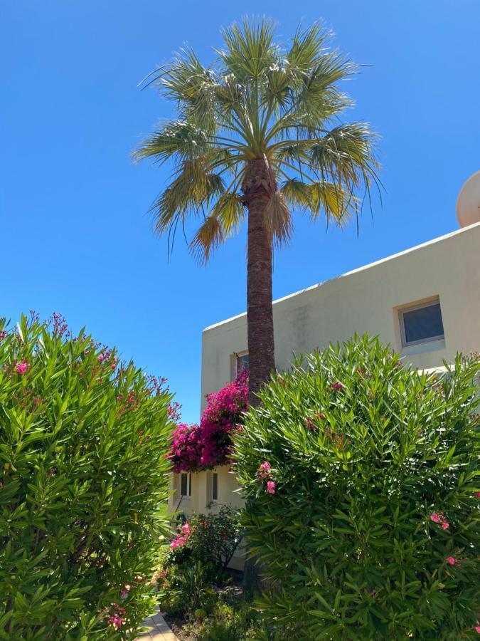 הוילה קארבואירו Casa Sacha מראה חיצוני תמונה