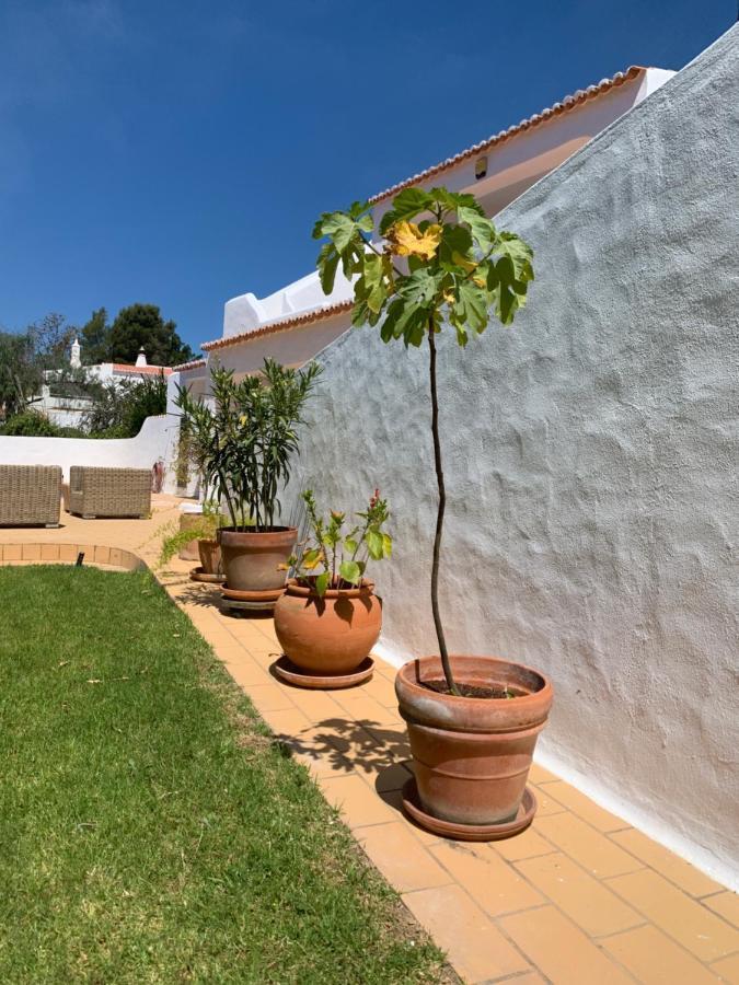 הוילה קארבואירו Casa Sacha מראה חיצוני תמונה